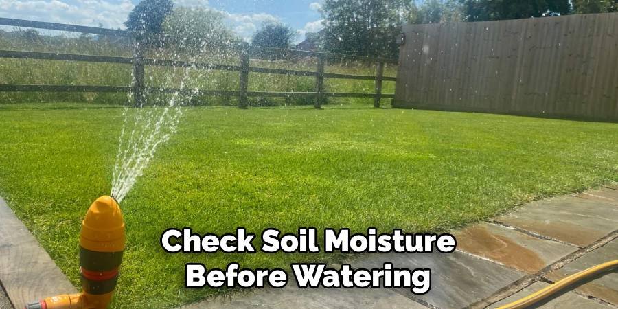 Check Soil Moisture Before Watering