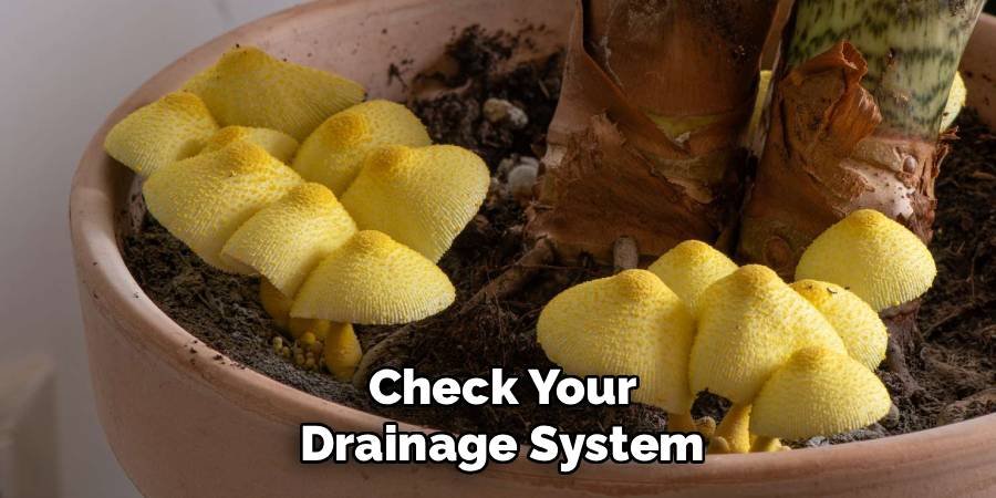 Check Your Drainage System