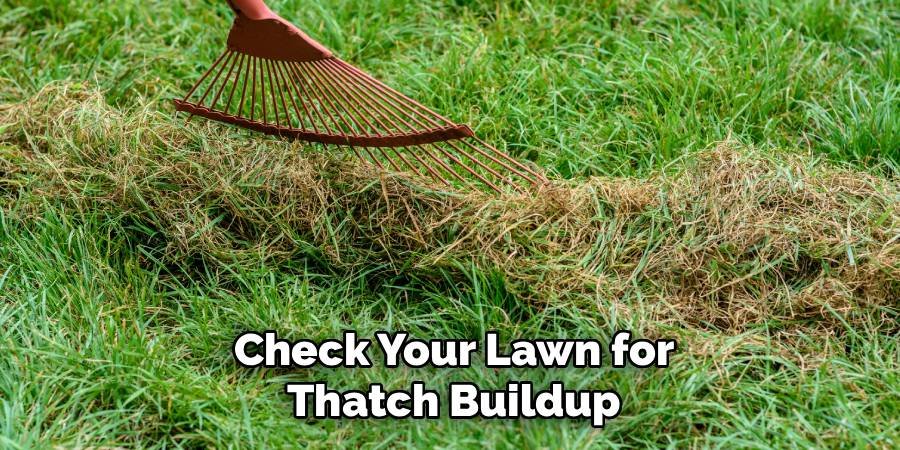 Check Your Lawn for Thatch Buildup