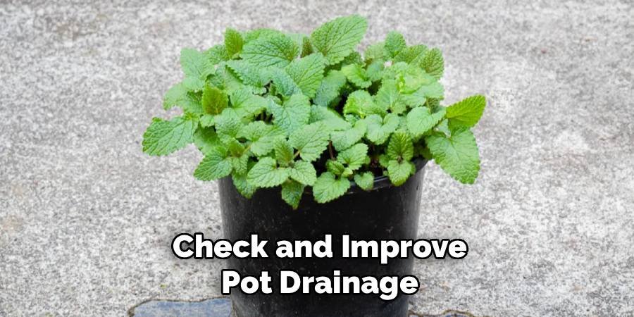 Check and Improve Pot Drainage