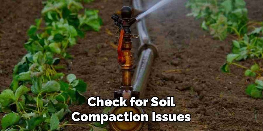 Check for Soil Compaction Issues