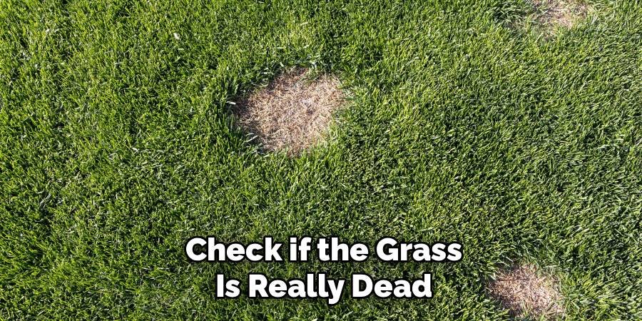 Check if the Grass is Really Dead