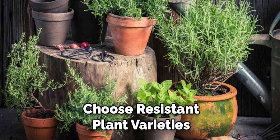 Choose Resistant Plant Varieties