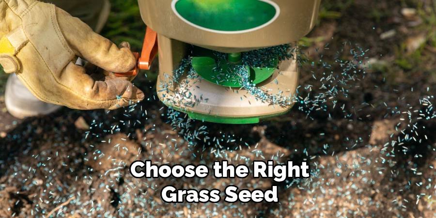 Choose the Right Grass Seed