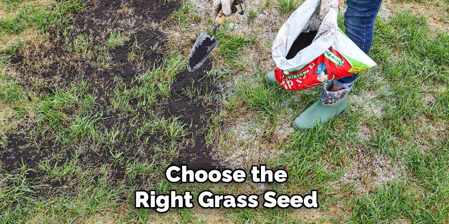 Choose the Right Grass Seed