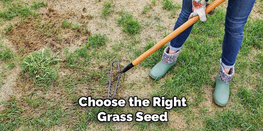 Choose the Right Grass Seed