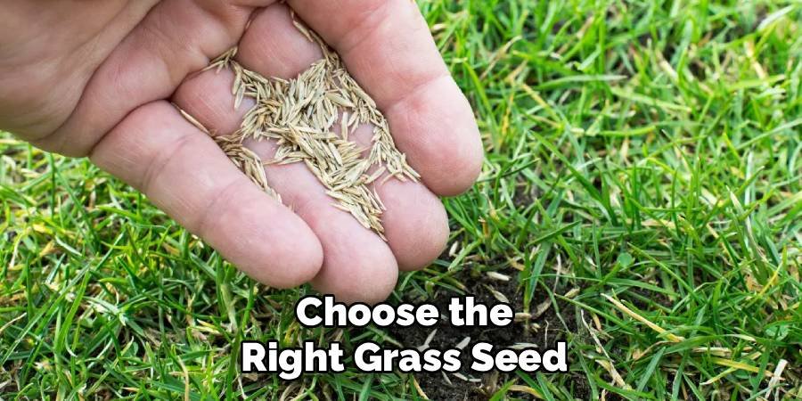 Choose the Right Grass Seed