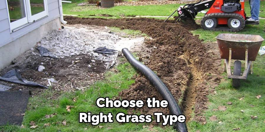 Choose the Right Grass Type