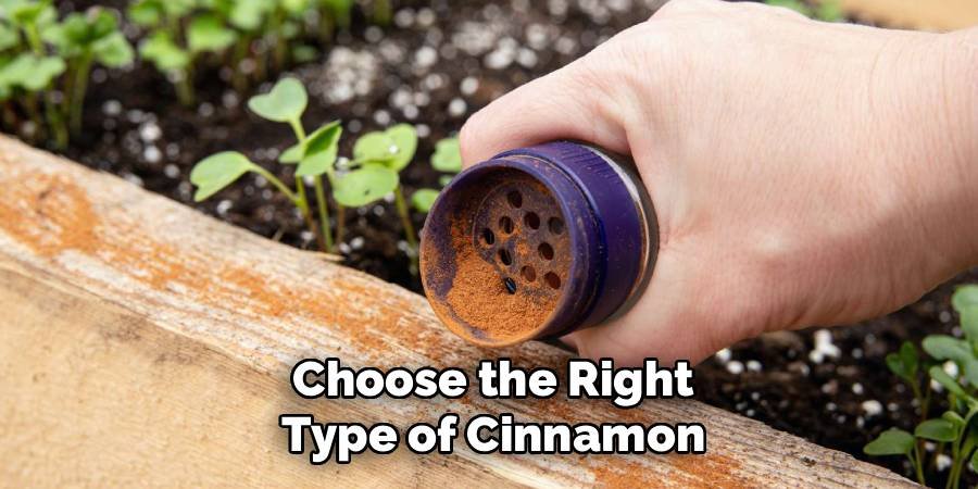 Choose the Right Type of Cinnamon