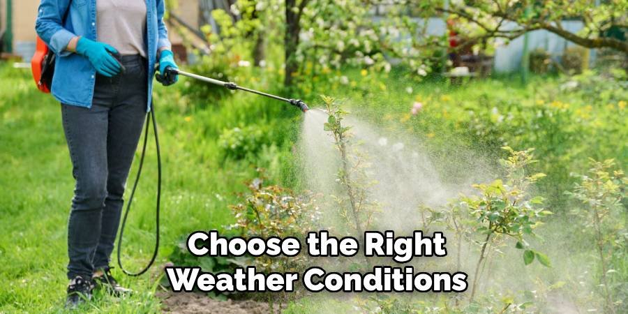 Choose the Right Weather Conditions
