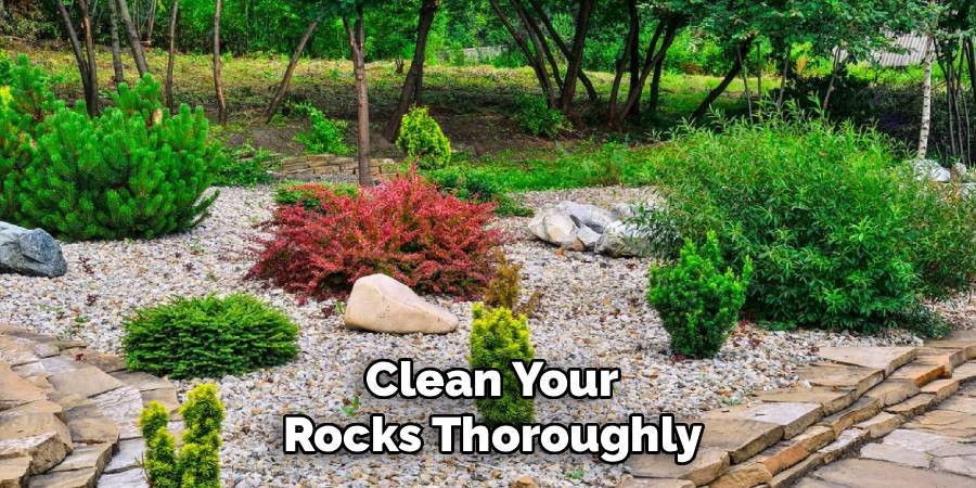 Clean Your Rocks Thoroughly