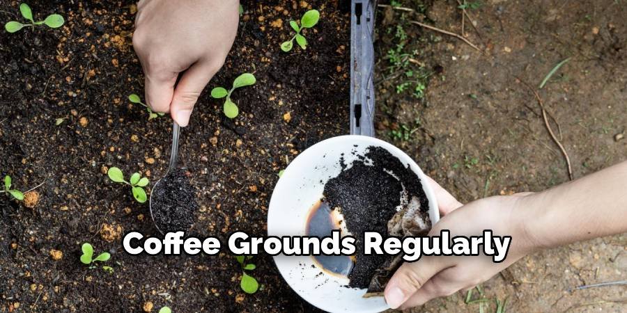 Coffee Grounds Regularly
