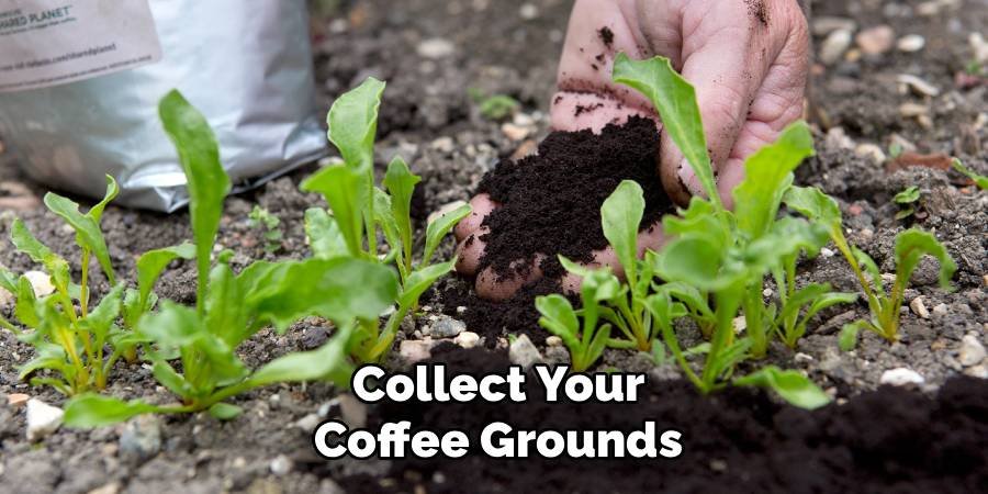 Collect Your Coffee Grounds