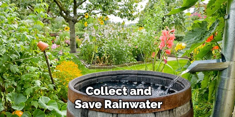 Collect and Save Rainwater