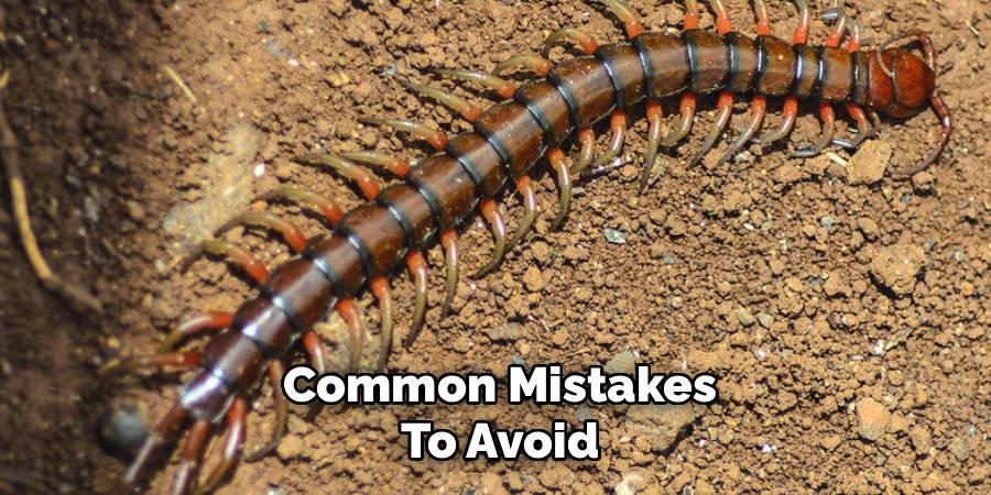Common Mistakes to Avoid
