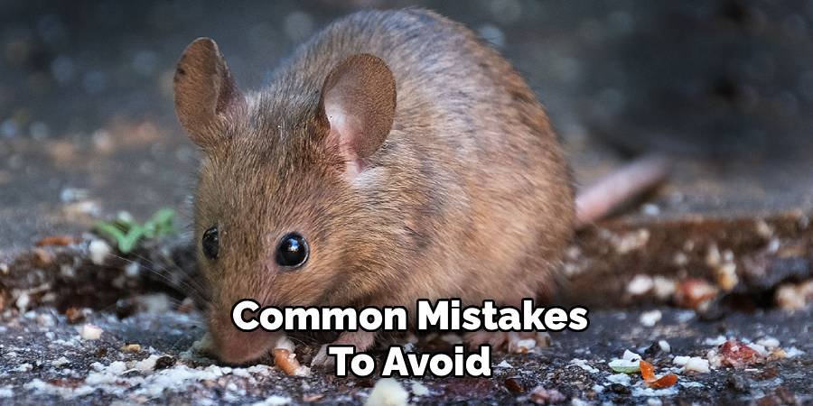 Common Mistakes to Avoid
