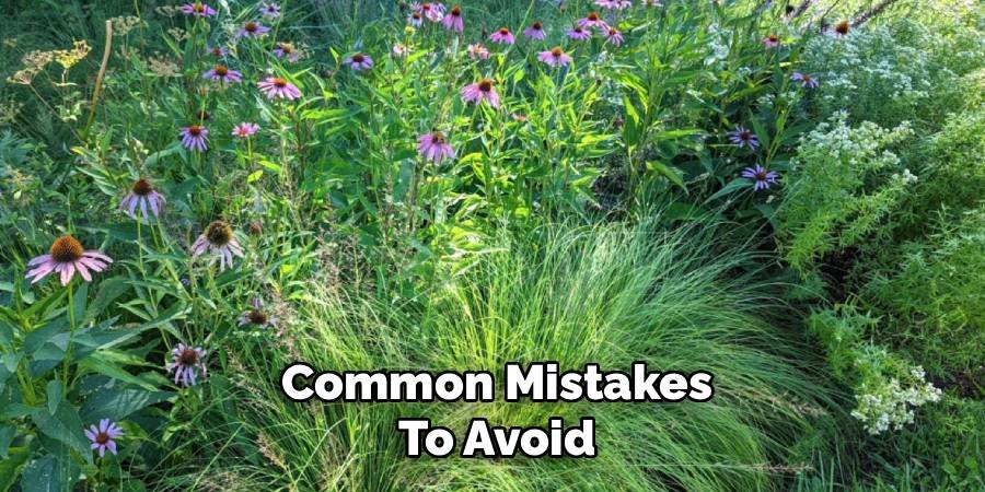 Common Mistakes to Avoid