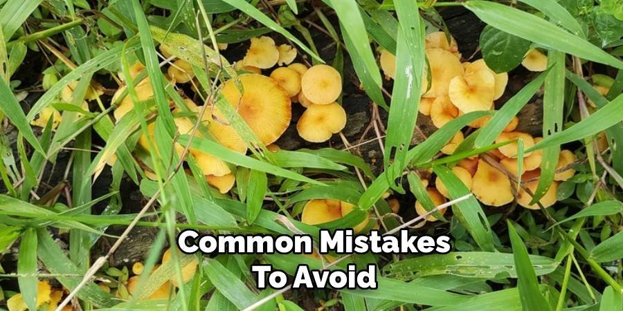 Common Mistakes to Avoid
