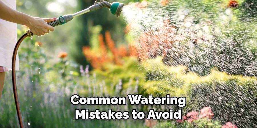 Common Watering Mistakes to Avoid
