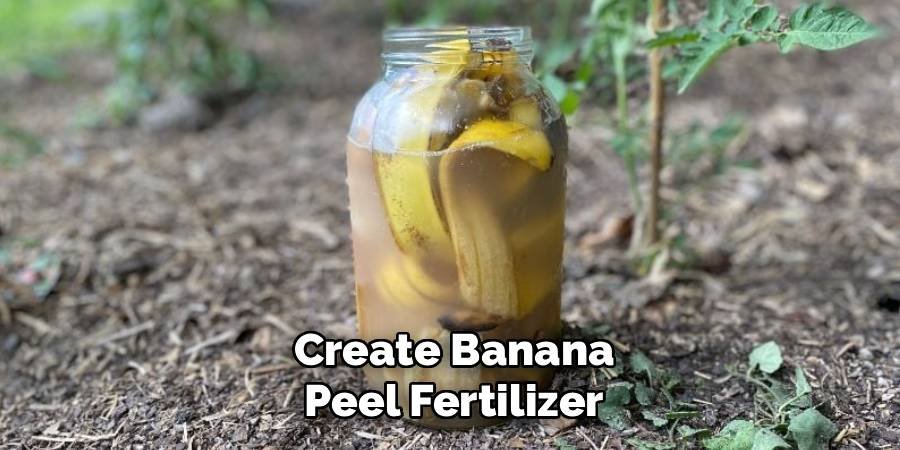 Create Banana Peel Fertilizer