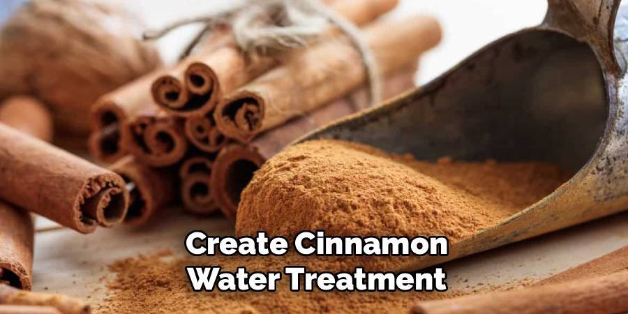 Create Cinnamon Water Treatment