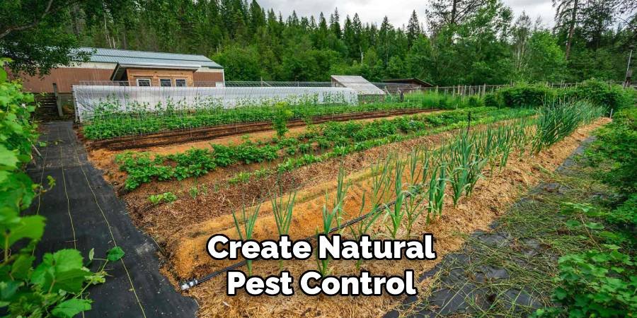 Create Natural Pest Control