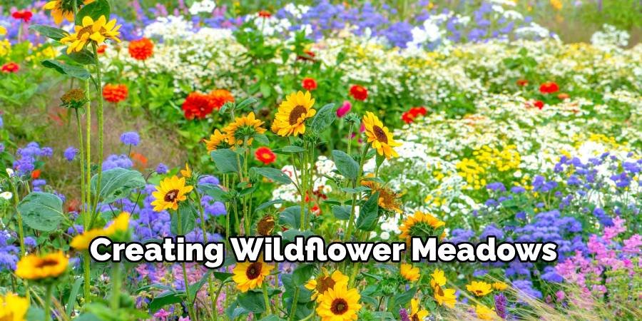 Creating Wildflower Meadows
