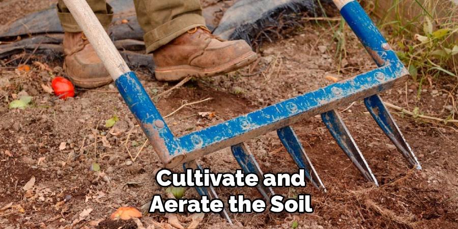 Cultivate and Aerate the Soil