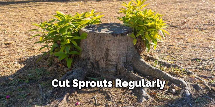 Cut Sprouts Regularly