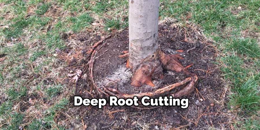 Deep Root Cutting
