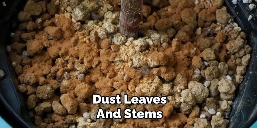 Dust Leaves and Stems