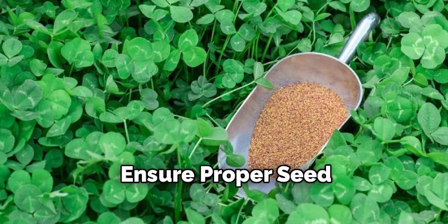Ensure Proper Seed