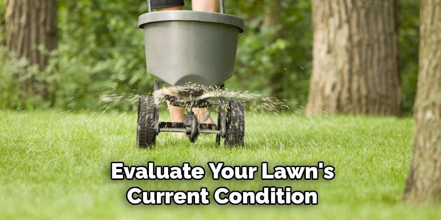 Evaluate Your Lawn's Current Condition