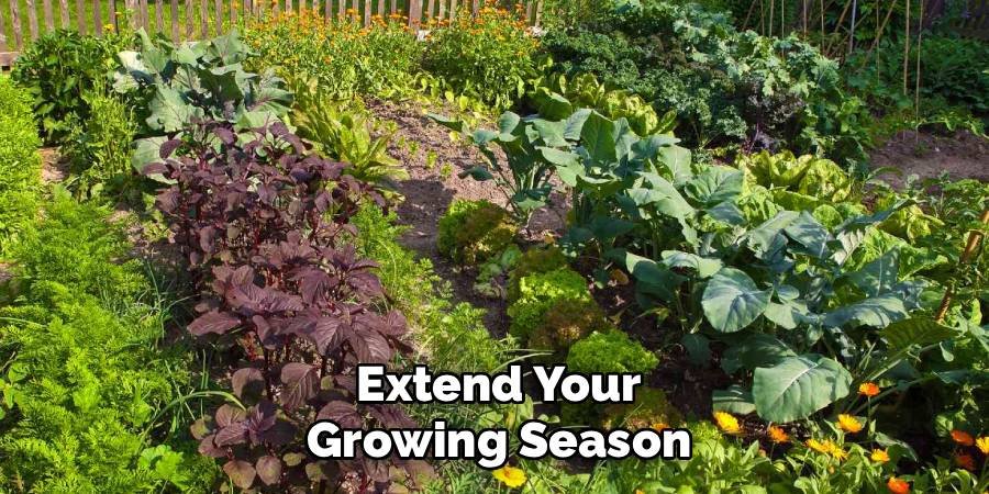 Extend Your Growing Season
