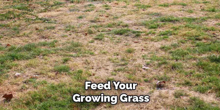 Feed Your Growing Grass