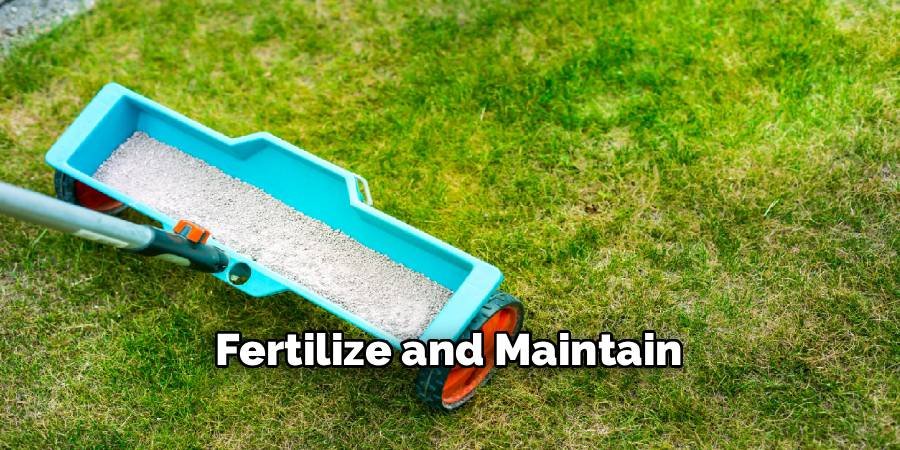 Fertilize and Maintain 