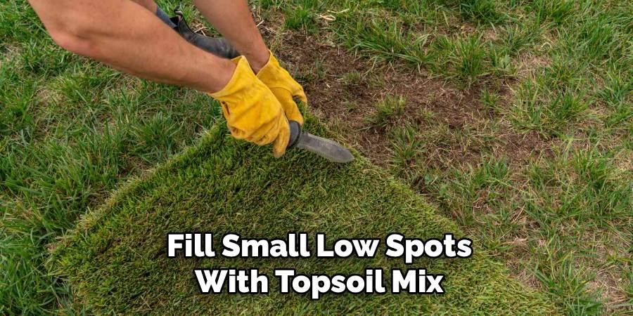 Fill Small Low Spots with Topsoil Mix