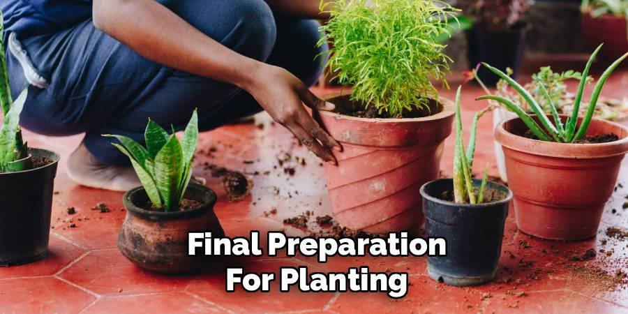 Final Preparation for Planting