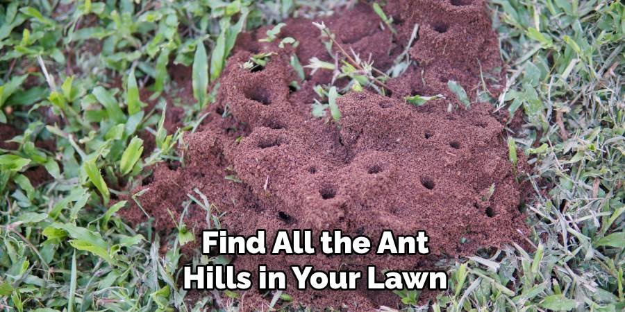 Find All the Ant Hills in Your Lawn