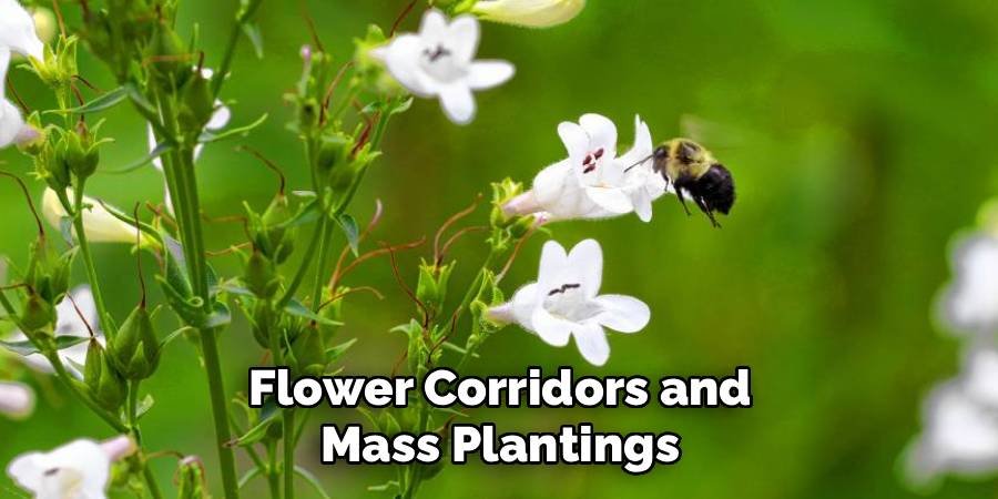 Flower Corridors and Mass Plantings