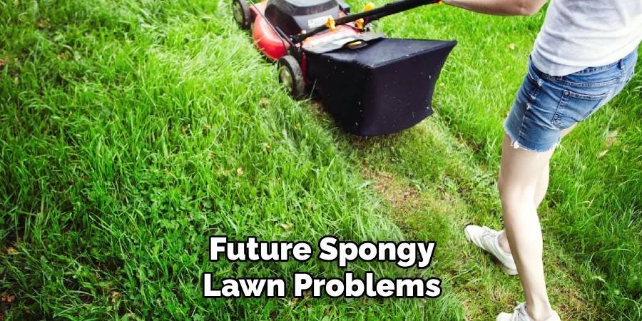 Future Spongy Lawn Problems