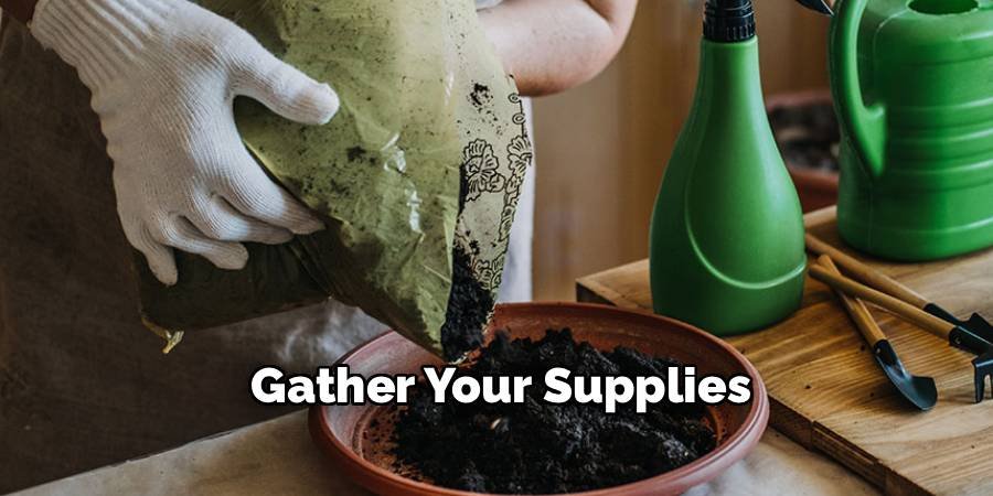 Gather Your Supplies