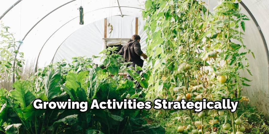 Growing Activities Strategically