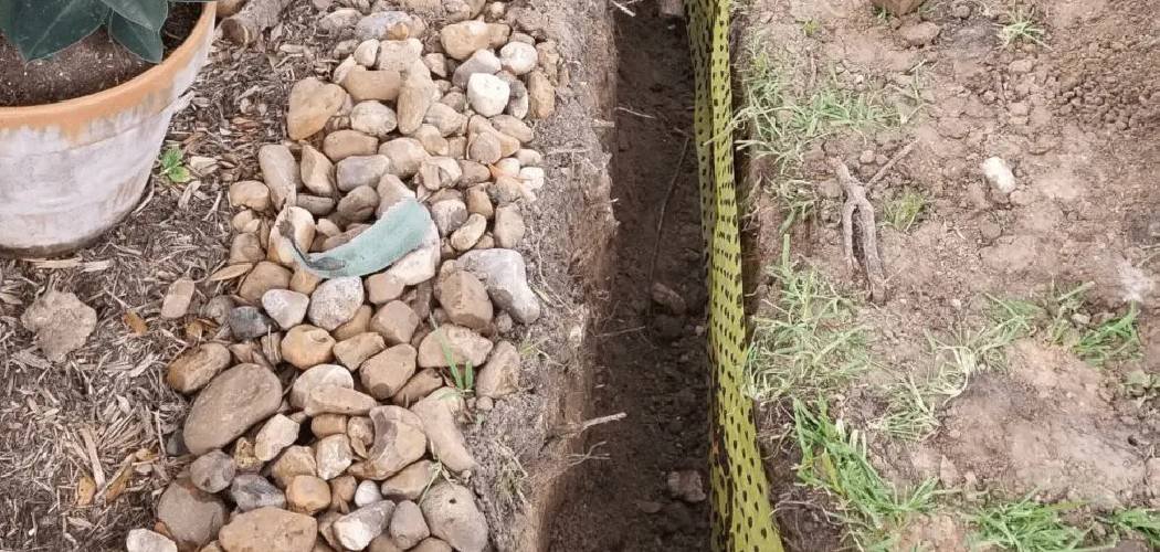 How Do I Repair My Lawn After Trenching