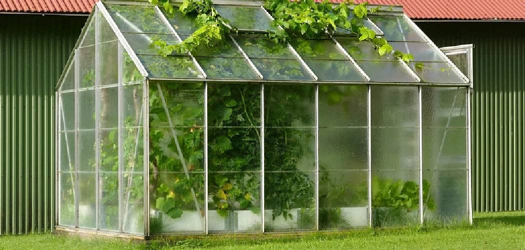 How Does a Greenhouse Work in Summer