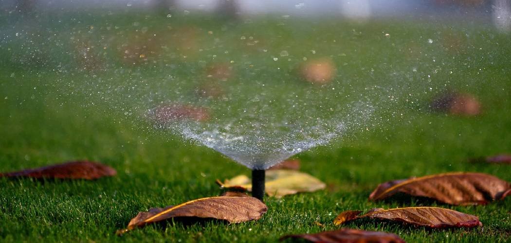 How Is Over Irrigation Damaging to Soil
