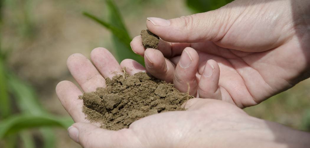 How to Add Copper to Soil Naturally