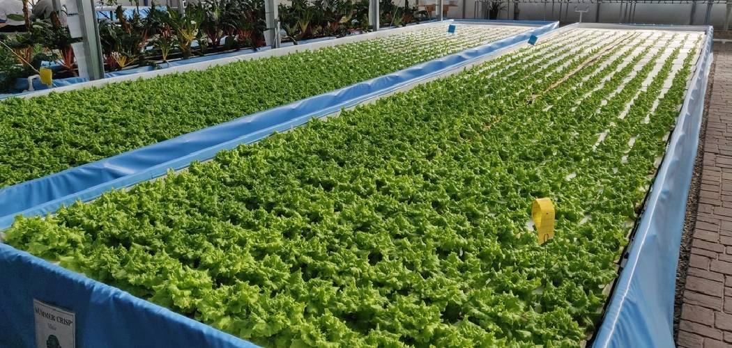 How to Build a Greenhouse Foundation