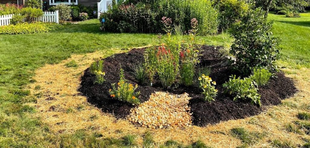 How to Build a Rain Garden in Clay Soil