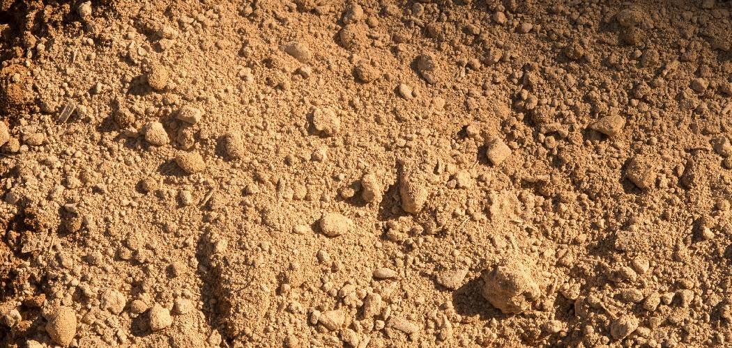 How to Clean Contaminated Soil